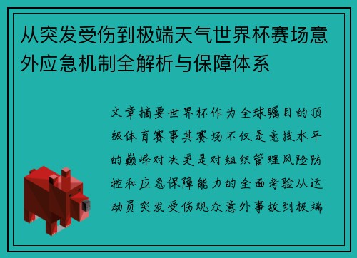 从突发受伤到极端天气世界杯赛场意外应急机制全解析与保障体系 从突发受伤到极端天气世界杯赛场意外应急机制全解析与保障体系